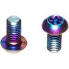 SRAM Titanium T25 Rotor Bolt Kit – Rainbow, Set of 12(Silver)