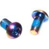 SRAM Titanium T25 Rotor Bolt Kit – Rainbow, Set of 12(Silver)